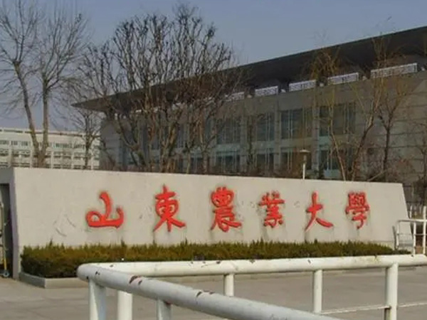 色多多网站入口